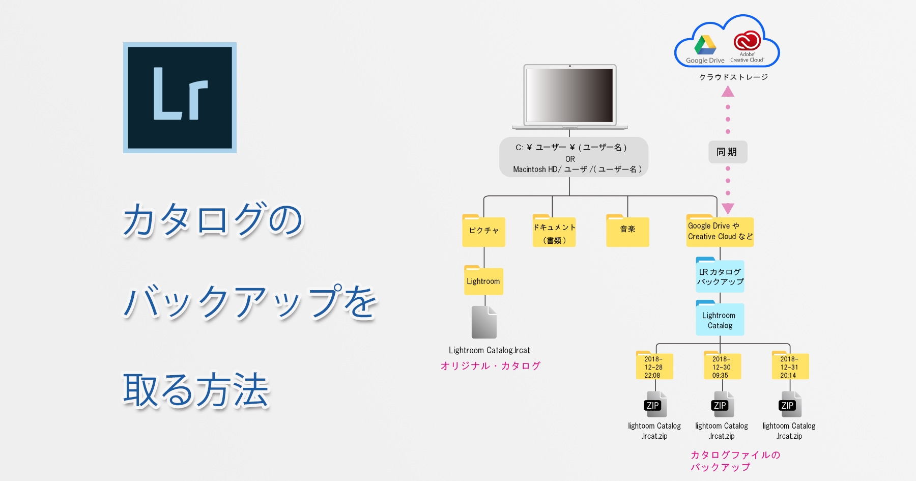 カタログのバックアップを取る方法-Main