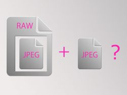 RAWにはJPEGが埋め込まれている？