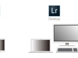 Lightroom Mobile版とDesktop版