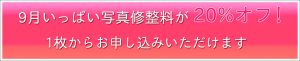 20パーセントOFF-固定ページ