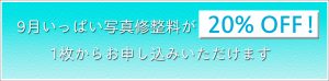 20パーセントOFF-固定ページ4