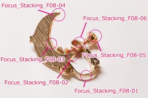 Focus-Stacking-ピント位置-F8