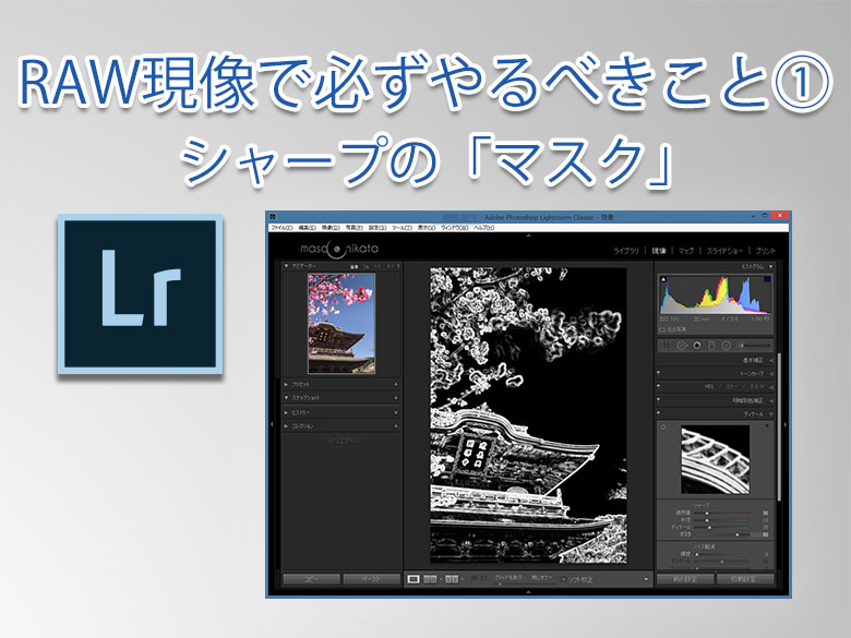 RAW現像で必ずやるべきこと①-featured