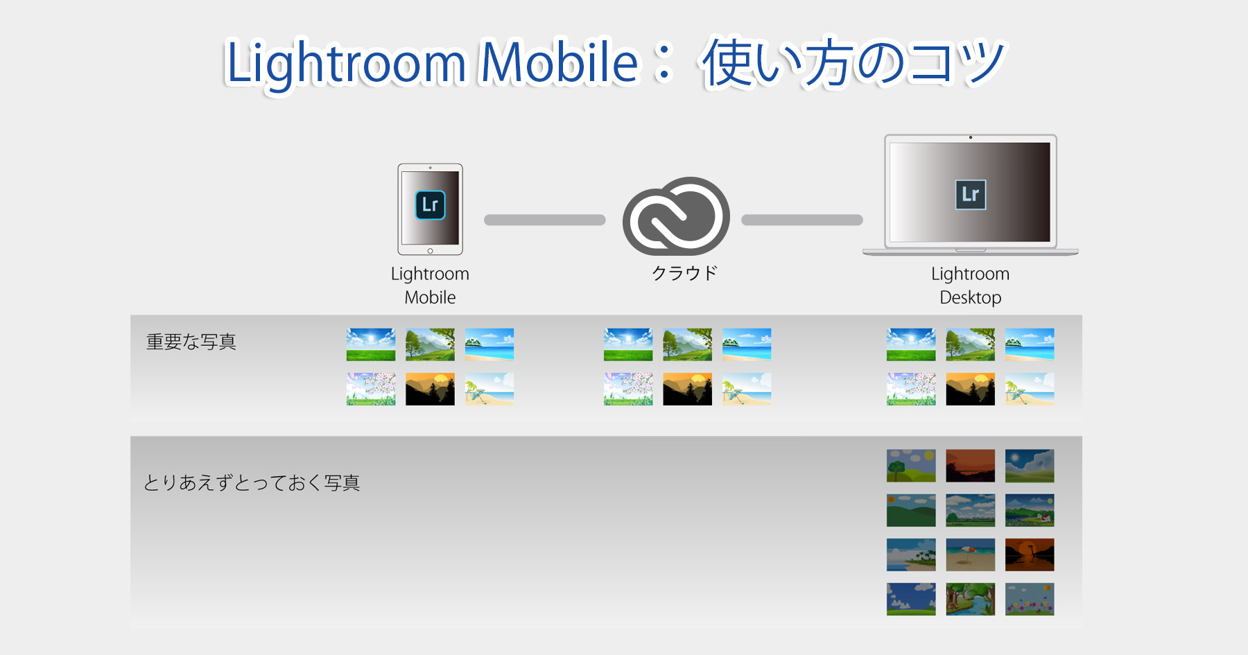 Lightroom_Mobile_使い方のコツ-Main